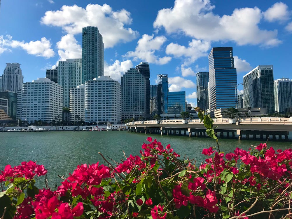 featured image for story, Torres 'Fully Financiadas' en Miami: ¡Invierta con la Seguridad que el Banco le Da! (Conozca la Lista Exclusiva)